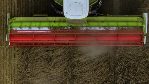 Combine Harvester Cutting Crops in Rural Field