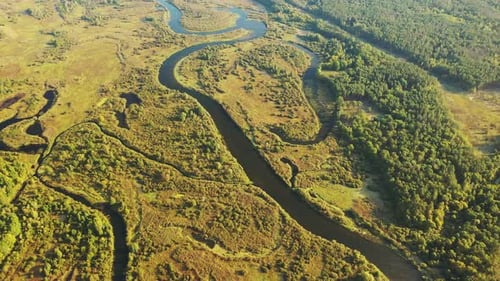 Aerial View Green Forest Woods And River Landscape In Sunny Summer Day