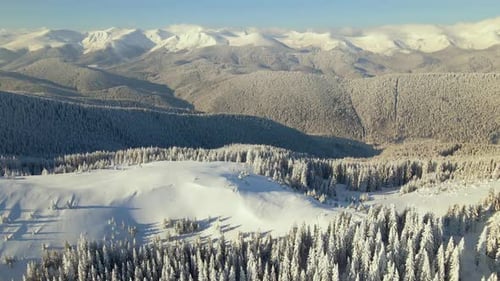Aerial view of winter landscape with mountain hills covered with evergreen pine forest after