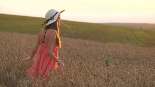 Back View of Long Haired Young Woman Walking on Golden Wheat Field at Sunset