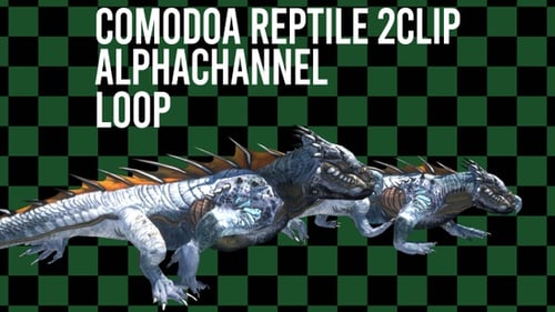 Boucle à 2 clips Comodoa blanche