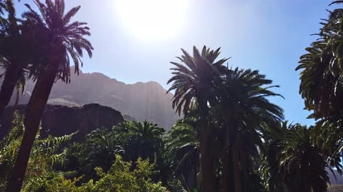 Vibrant Tropical Landscape with Palm Trees