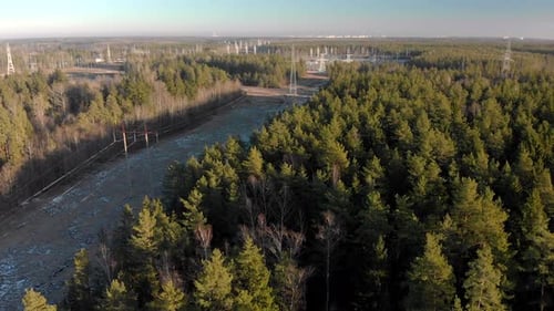Electric Power Station with Power Lines in a Picturesque Coniferous Forest on a Sunny Winter Day