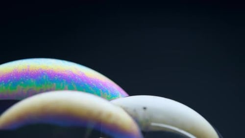 Soap bubbles isolated on black background. Abstract soap bubbles with colorful reflections.