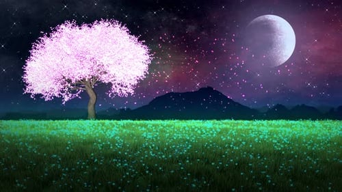 Animated Cherry Blossom Tree Falling Petals under Moonlit Night Sky