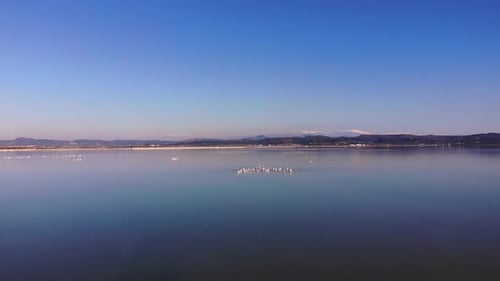 Drone Forward Video