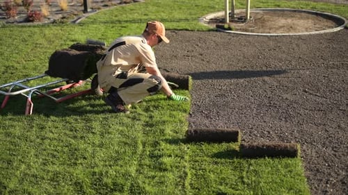Man Lays Fresh Sod in Suburban Yard