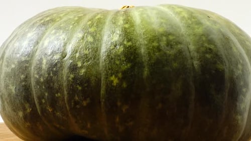 Pumpkin