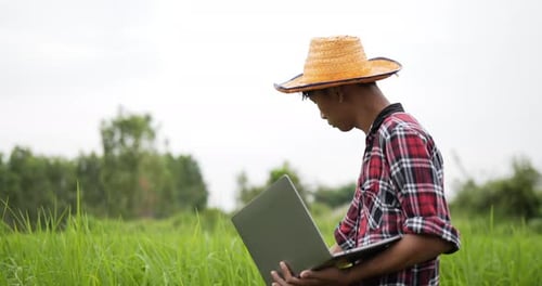 Junge Landwirte nutzen Laptop für Recherchen über Reis auf dem Feld