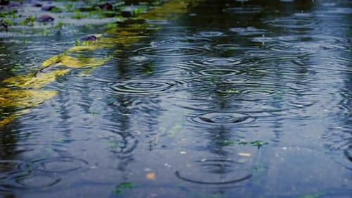 Raindrops Rippling Puddle Reflection on Asphalt Road