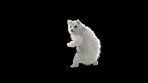 Dancing Fluffy White Animal Animation with Alpha Channel