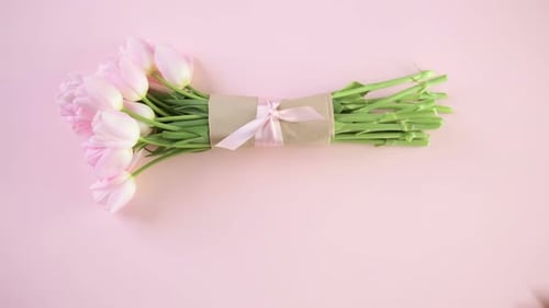 Hands Hold Pink Tulip Bouquet as a Romantic Gift