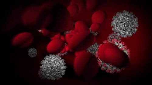3D Virus and Red Blood Cell Particles Flowing Animation
