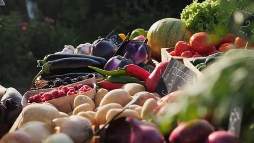 A Farmer Puts Vegetables on the Counter, Close Up Hands