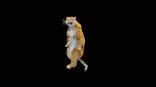 67 Tiger: Tanzen HD