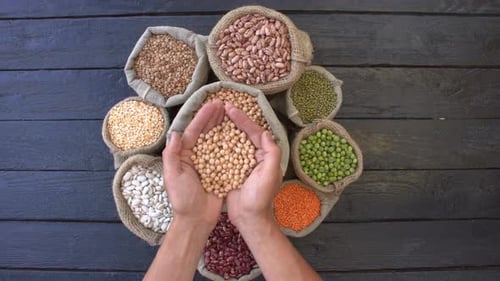 Bags of Legumes, Chickpeas Being Picked Up
