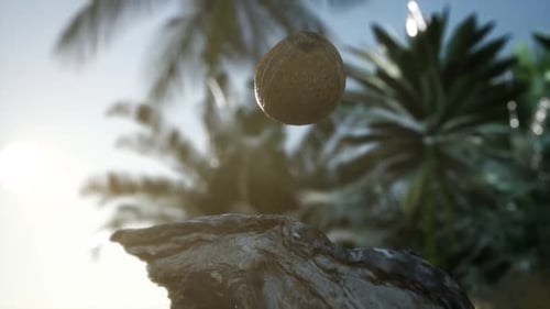 Floating Coconut in Tropical Paradise with Palm Trees