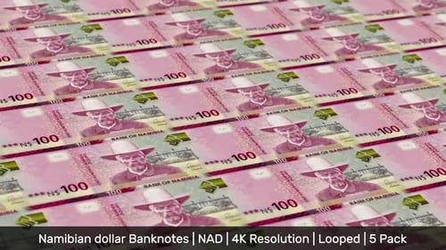 Namibia Banknotes Money / Namibian dollar / Currency N$ / NAD / 5 Pack - 4K