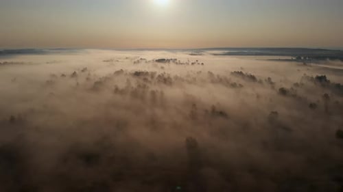 Epic aerial view of sunrise fog covering field with trees