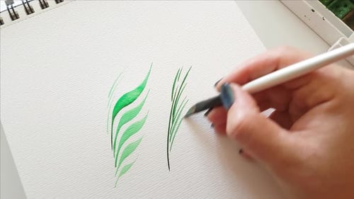 Painting green leaves with watercolors close up