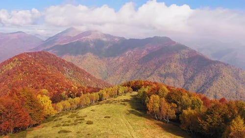 Aerial View of Beautiful Autumn Forest Colored Autumn Colors Trees Mountain Range in Background