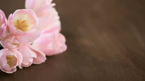 Close Up of Pink Tulips on Wooden Table