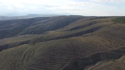 Aerial View Of Agricultural Fields