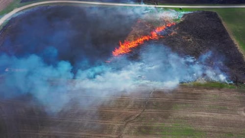 Prescribed burns
