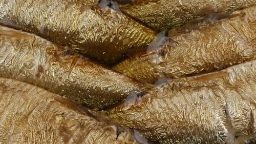 Close Up of Glistening, Smoked Fish