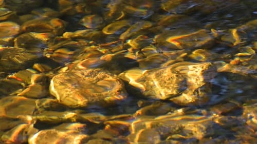 Río