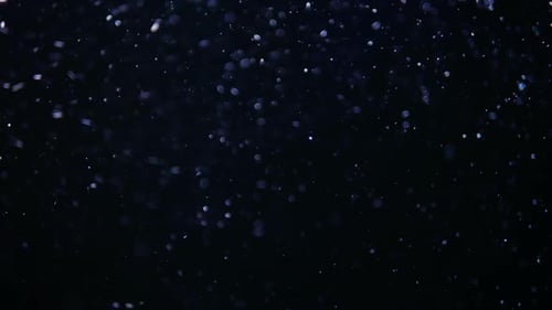 Abstract Fast Crystal Macro Bubbles of Air Moving and Floating Isolated on Black Background