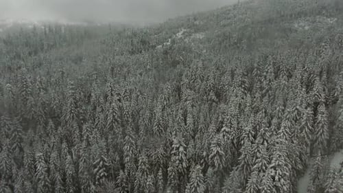 Hiver Neige Highland Mountain Mist Frozen Forest sous un ciel brumeux - Vue aérienne Drone