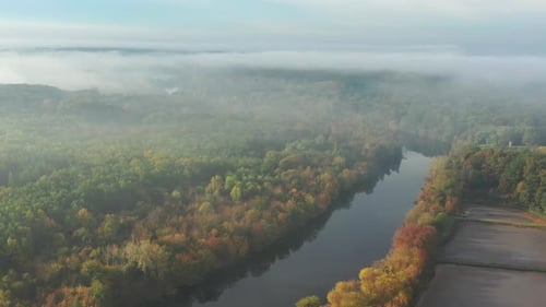 Beautiful morning, summer flight over the river. Fog, trees.