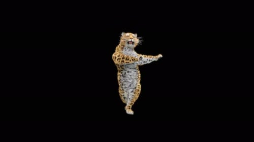 Leoparden-Tanzen 4K