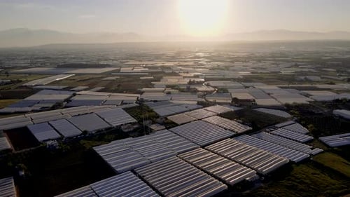 Modern Greenhouses