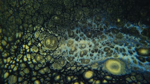Diffusion de peintures