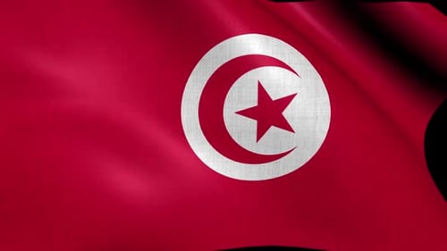 Realistic Waving Flag of Tunisia with Alpha Channel