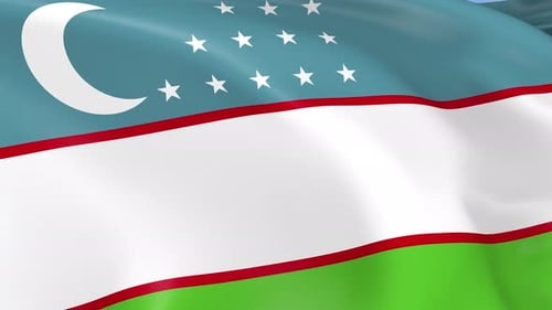 Waving Flag of Uzbekistan Loop with Realistic Fabric Motion