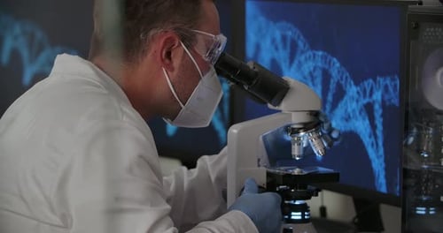Researching with Binocular Microscope