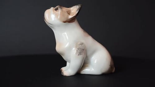 Dog 95
