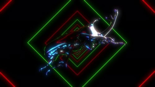 Beetle Loop 03