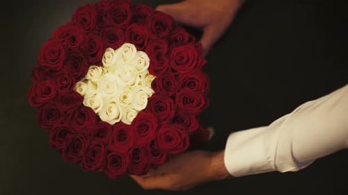 Hands Presenting Beautiful Red and White Rose Bouquet