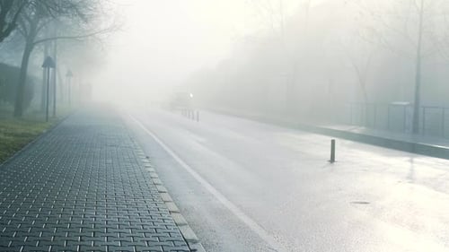 Road In Fog