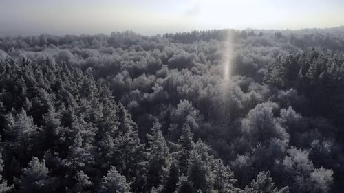 Winter Nature Concept