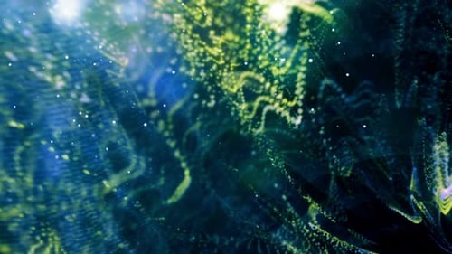 Soft Particle Waves 01