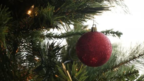 Decorative red bauble on the branch close-up 4K 2160p 30fps UltraHD footage - Shiny ornament hanged
