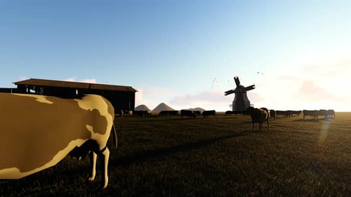 Cow Farm