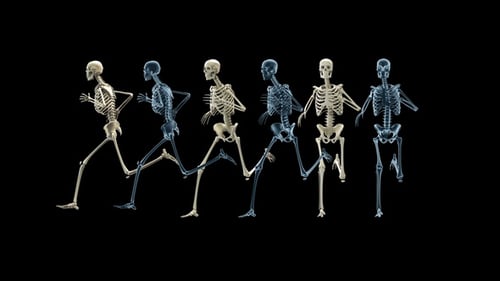 Ciclo Skeleton Run Full Hd