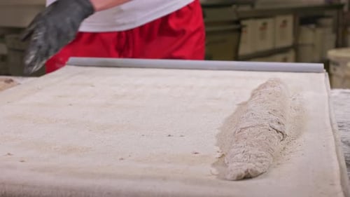 Baker Shaping Dough for Baking in Bakery