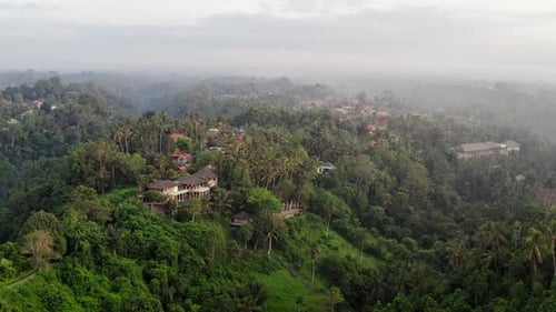 Beautiful Sunrise Over Tropical Forest Jungle. Morning Fog in the Jungle. Ubud, Bali
